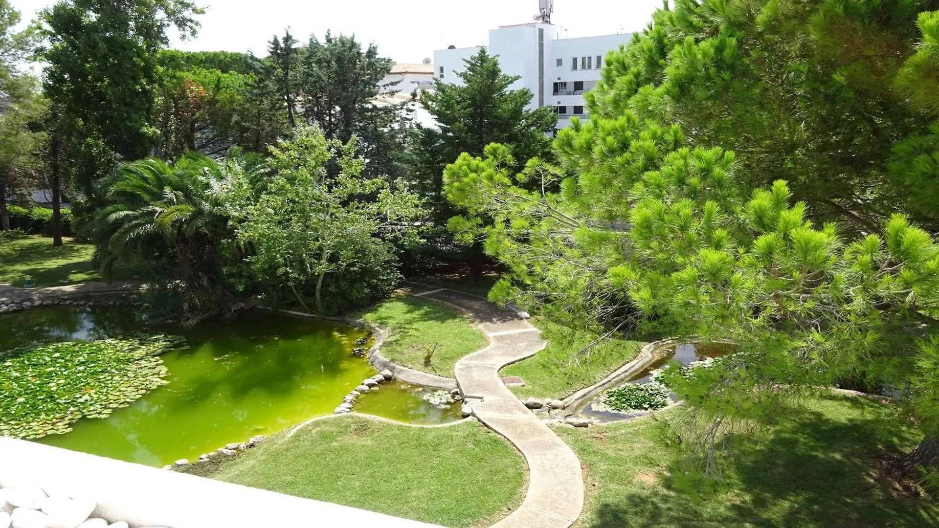 Lovely Penthouse Apartment In Bellresguard 포엔샤 항구